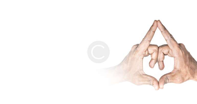 Tout savoir sur les phytonutriments